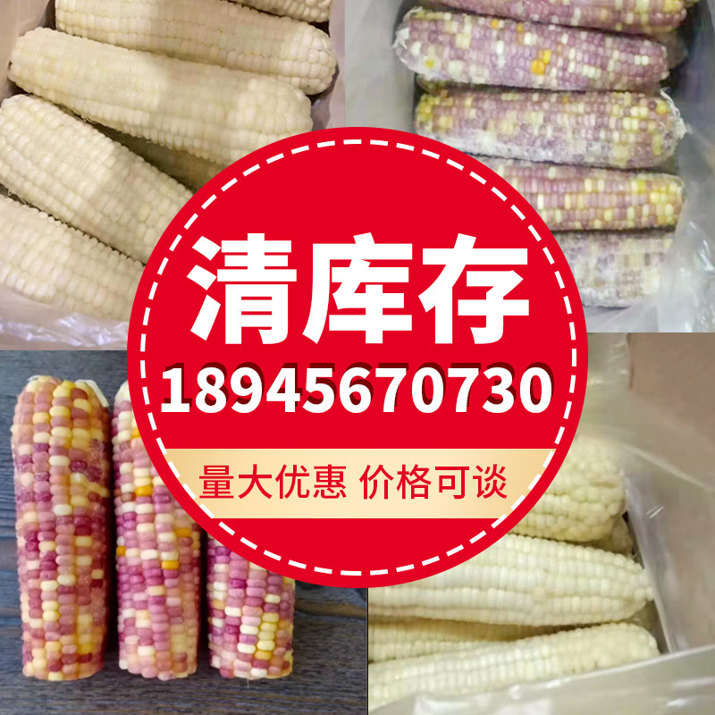 清库存速冻东北玉米白糯玉米花糯玉米二等穗三等穗量大价格可谈
