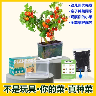 厂家儿童根系植物观察盒盆栽生长套装科学实验套装透明观察盒