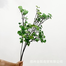 ��ꖆ�֧�����ָ�ܛ�z���~�����\��  ɭϵ �Gֲ�~ ��c�~���b�