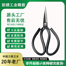 �f�aH5013���PƤ��65�i䓹��I���� ���g�WԺ�������þ����๦��