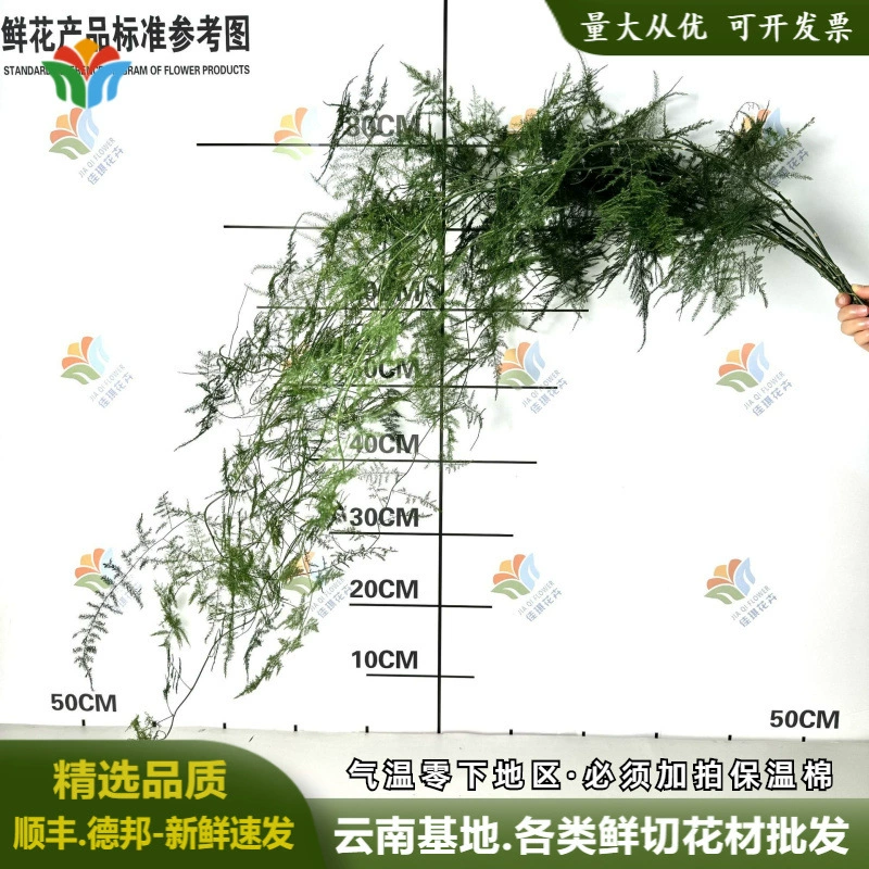 Свежие бамбуковые ветки свежие китайские цветы