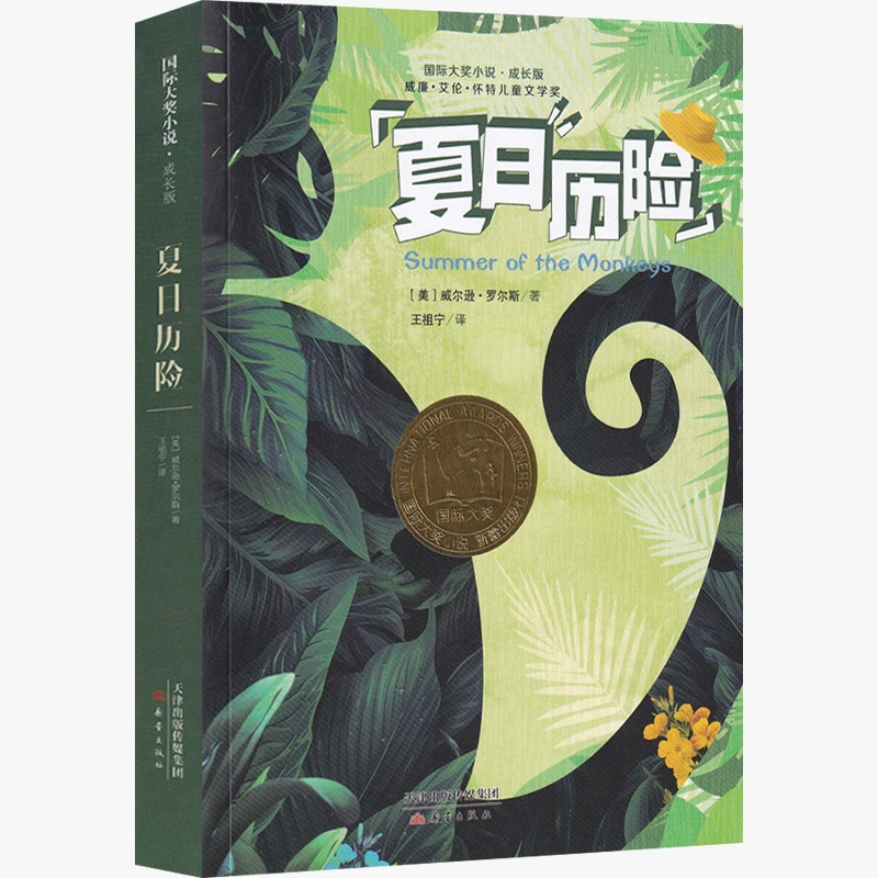 Книга «Летнее приключение» издательство «Синьлэй» зарубежная премиальная проза