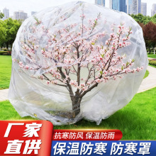 加厚植物塑料防寒罩花卉绿植防霜薄膜果树木防冻保温膜透明防尘袋