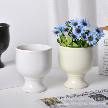 մɻ豱WLmûմLinsúsmNֲ