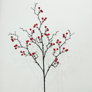 19��t���Ӱlؔ������t������������t�{���Ҿ��b[����������