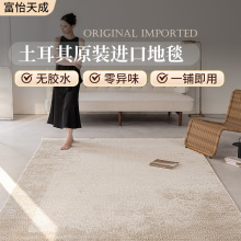 威尔顿机织地毯卧室高级轻奢奶油风家用抗菌地毯卧室衣帽间地毯