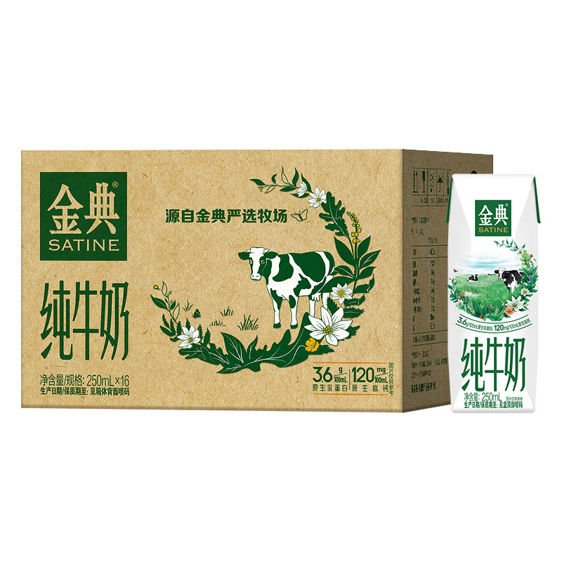 Daily Yili Jindian Pure Milk 250ml*16 Boxes Whole Box Student Breakfast [September]