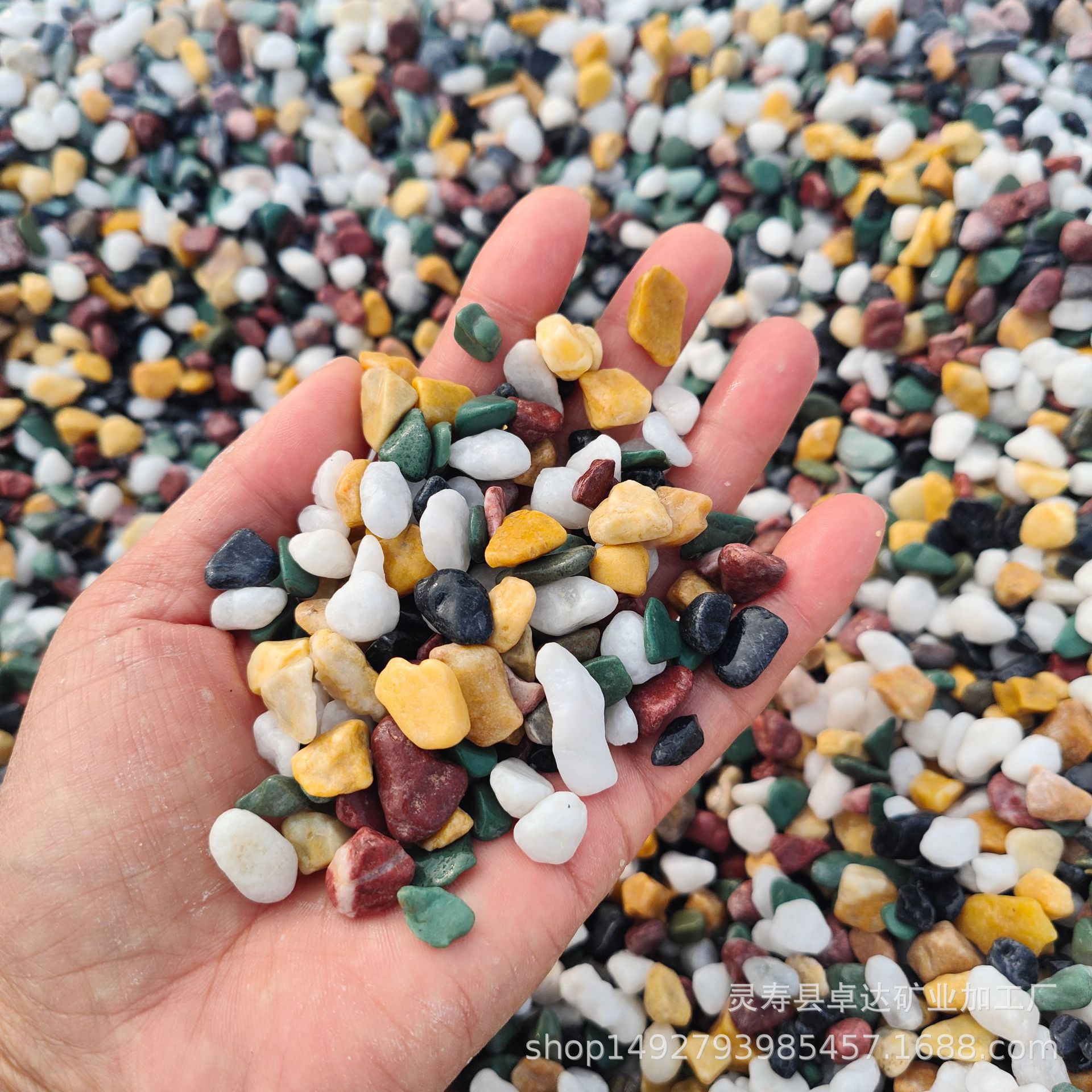 微信图片_20241016155115