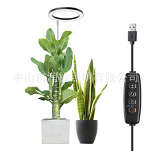 ʹh10ӢֲLsUȫVUSBr{辰ֲa