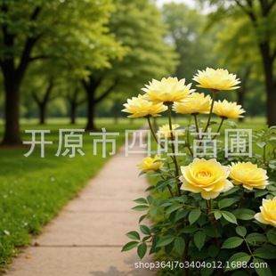 2026�|���t�S��÷ �S��õ��Ǥ��С�� �ذ��÷��С��a��