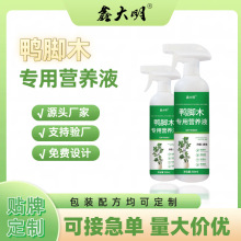 家庭园艺鸭脚木专用营养液定制代工ODM/OEM绿植盆栽室内免费设计
