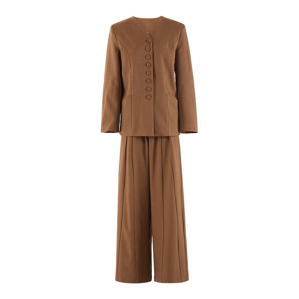 Elegant Women's Pant Set V-neck Single-breasted Suit Two-piece Set_voghion.com