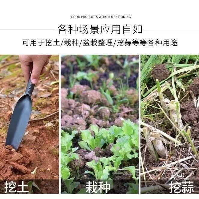 微信图片_202505031026471.jpg