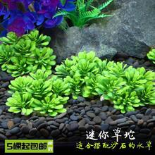 �~���b�Ʒˮ���쾰ֲ���ײ�ˮ���䲼���زĴ���ǰ��С̖�~��