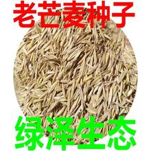 |ݷN âN ţʳݳɻʺ aس