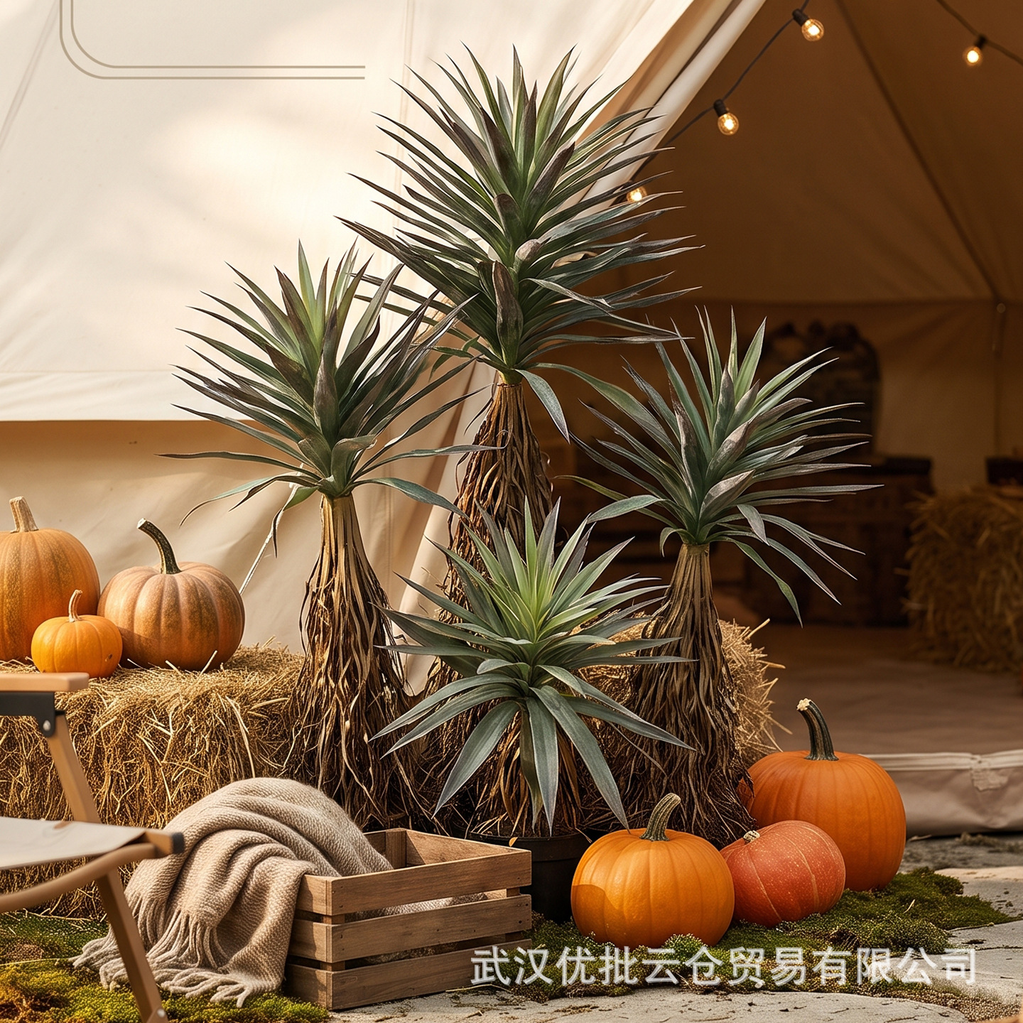 仿真稻草人绿植盆栽室内热带沙漠景观造景假龙舌兰龙血树植物装饰