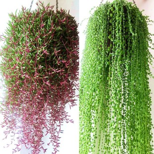 ��������ֲ�������m���Դ��������µ��m�ش������·�����w����