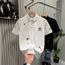 ��ʿ���e�̽�polo������2026�¿��ļ����·������bƦ���L���It��