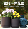 Plastic flowerpot, pelvic correction belt, round resin for growing plants