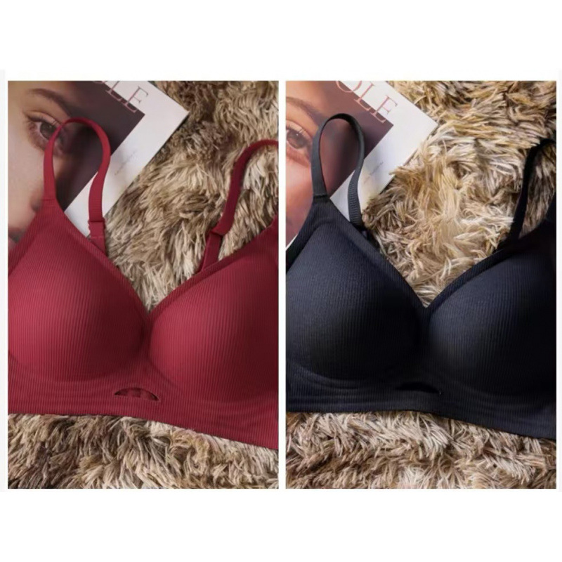 앙콜라 레드 + 블랙