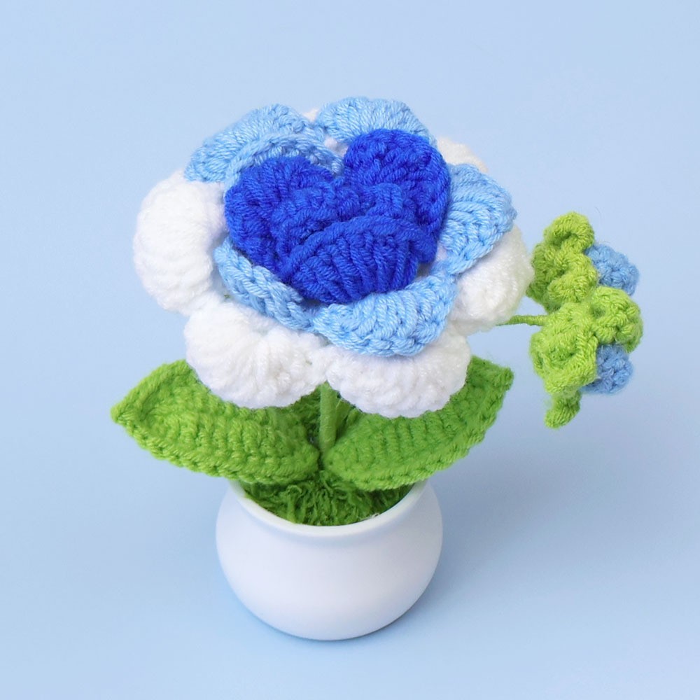 Azul degradado - Rosa redondeada anti - enredada (2 brácteas) (maceta blanca)