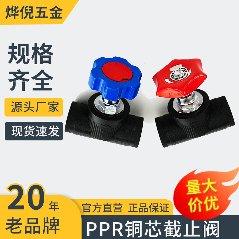 PPR截止阀阀芯加厚卡簧升降截止阀 精品PE卡簧截止阀PPR配件