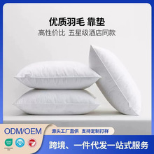 定制抱枕靠垫内胆羽绒靠枕批发酒店沙发抱枕芯枕头芯cushion定做