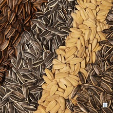 ӳ؛4ԭζ㽹Ǽtɽζѳ؛Сb5