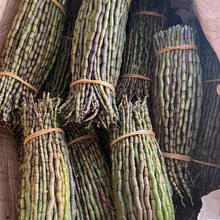 云南铁皮鲜条 新鲜石斛鲜条批发 种植铁皮石斛 基地石斛批发