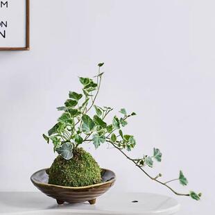 ѩ���������k����̦�\�辰ֲ���҃����������̨���@�Gֲ���B���w