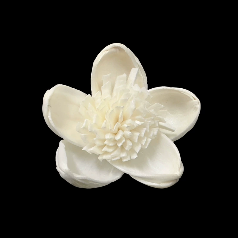 Оптовая продажа | 4cm Jasmine Tonghua идиллический стиль домашнего декора Сухие цветы свадебный букет с цветами могут быть окрашены