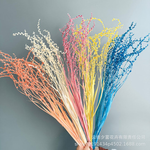 �����m���������滨���r���Ҿ�ܛ�b�廨��c�zӰ�b�diy�ֹ�����