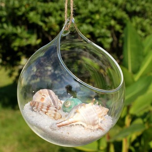 �Ҿӹ�ˇƷˮ��ֲ��Ғ�͸������С��ƿ�҃��bF�����s�L��ƿ