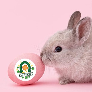 �S�����l���~�ݹ����N�������z�YƷ���b�b��N�˺����~�ݒ��