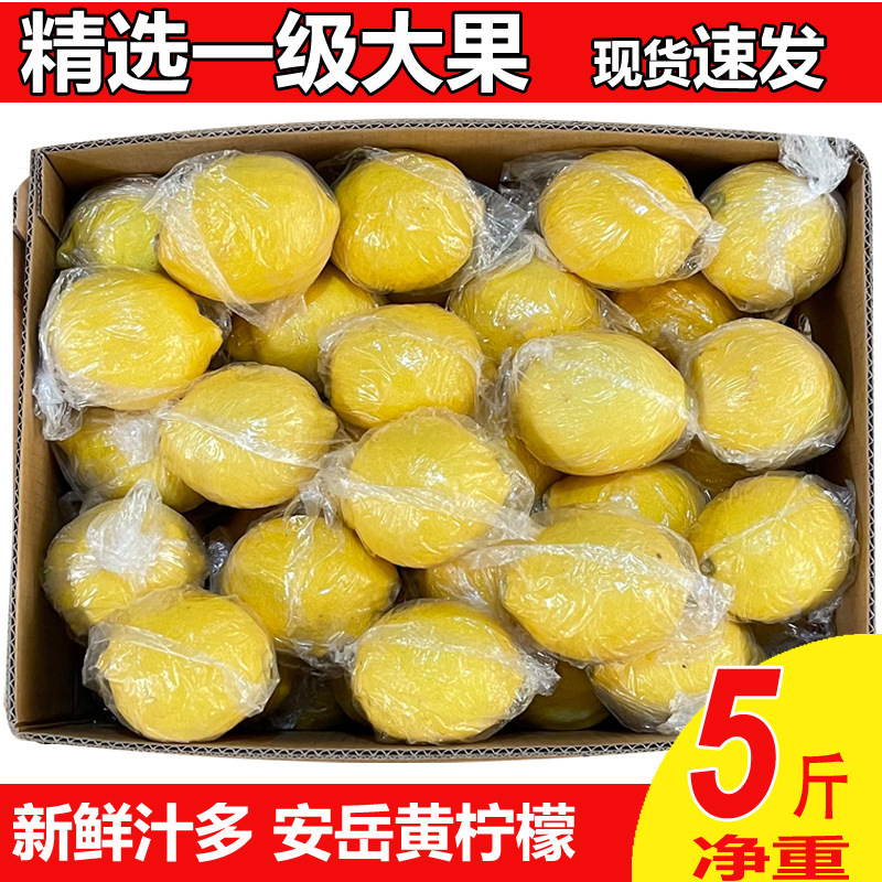 Wholesale Fresh an Yue Yellow Lemons, Selected First-Grade Fruit, Direct Delivery from Multiple Origins, Mature Fruit, Not Bitter Wholesale Fresh an Yue Yellow Lemons, Selected First-Grade Fruit, Direct Delivery from Multiple Origins, Mature Fruit, Not Bitter
