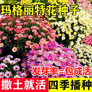 �������ػ��N������һ���ļ����N�׻���x��С�r��ͥԺ�̨�҃���