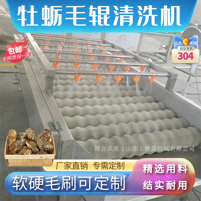 商用海蛎子清洗设备现货优惠胡萝卜去泥机厂家不锈钢柑橘毛辊打蜡
