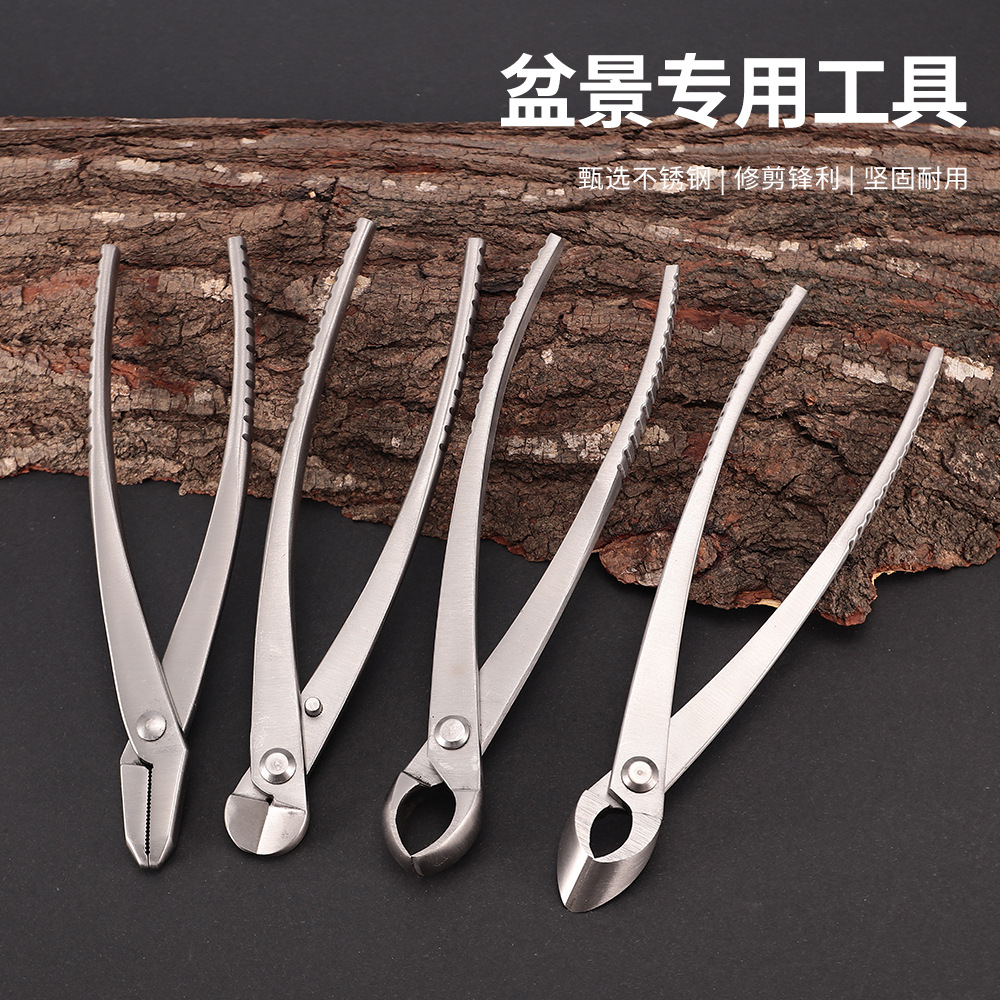 叶芽剪刀全不锈钢园艺剪加厚修枝剪嫩芽修枝小枝切剪盆景长杆剪