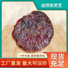 Ϯa`֥Lɽ`֥ʳraƷ`֥ҰSҹ