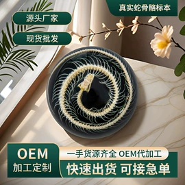 标本;树脂工艺品;科教玩具
