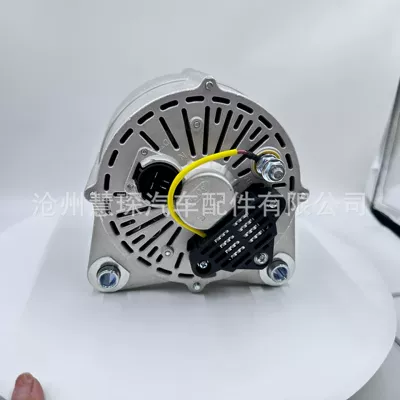 Generatorlar hissələri (Dinamo və detalları) xichai 6DL2 generator