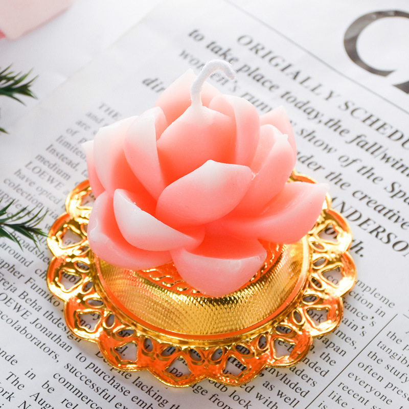 Plantas suculentas flores vela decoración del hogar en el viento regalos de boda regalo de navidad ideas de cumpleaños