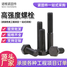 国标8.8级高强度螺丝发黑碳钢高强外六角螺栓m8m10m12m16m24m30