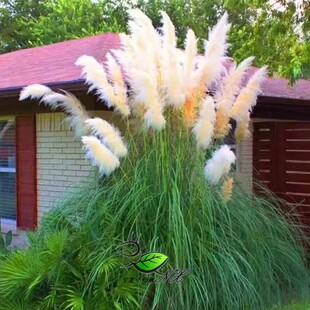 ��Ȕ���Ѷ������޸��ͺ����a���y�J�N�ӻ��@�^�p�ͺ��ݷN���＾��