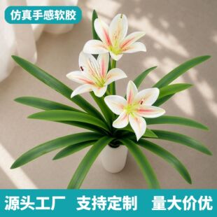 3�^�ٺϷ��滨�����b�c�쾰�ָб���ܛ�zins�Lޥ�m�ٻ�