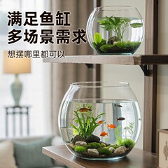 デスクトップ水槽オフィス肥厚透明ラウンド小さな金魚水槽リビングルーム家庭用カメ水槽水耕栽培容器