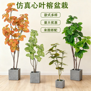 �羳���N�������~�� �����҃ȼҾ�����bپGֲ�����쾰 ���Ƙ�