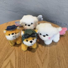 ë�q��߿ɐ�С�����Ќ����ތW����������С��ż������w�ɐ���ż