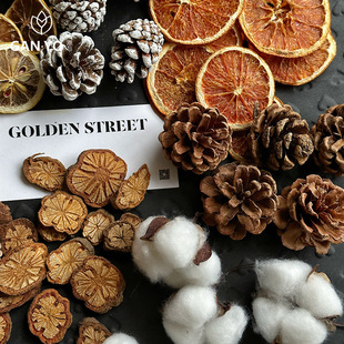�ɹ�ľƬ����ɹ�������ֲ��˱����diy�ɻ�����L���b羳