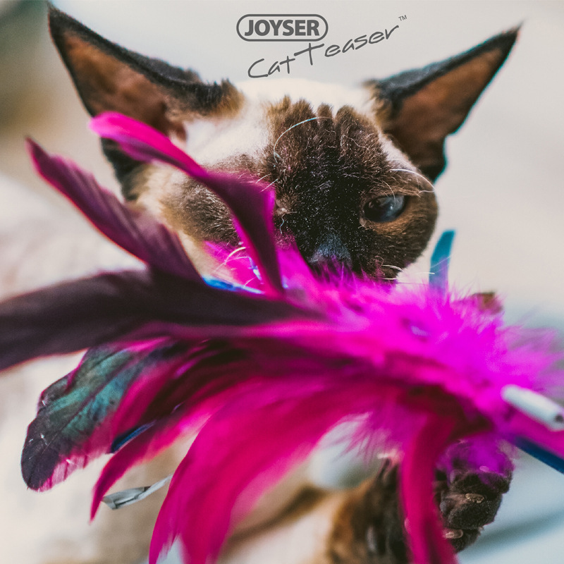 (2개) JOYSER 애완 동물 고양이 재미있는 스틱 개수 공 깃털 재미있는 고양이 장난감 교체 가능한 깃털 반지 재미있는 고양이